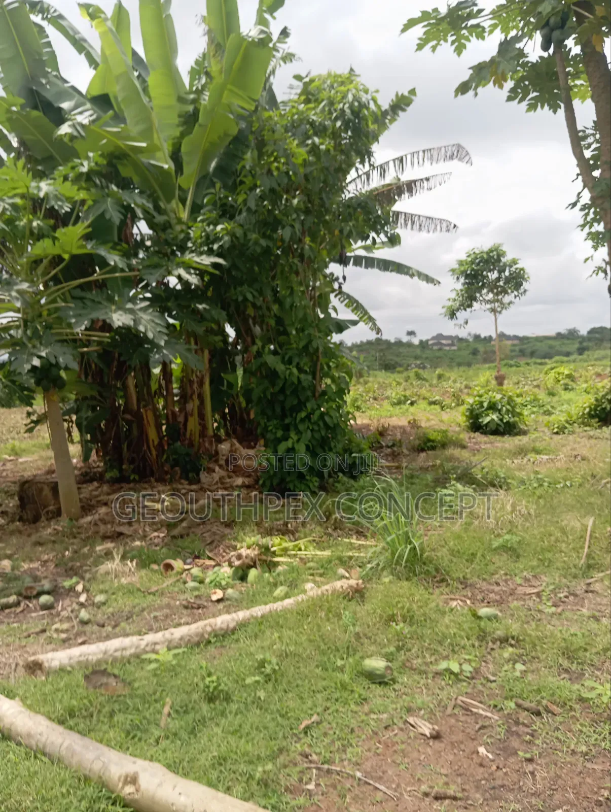 MONIYA RAILWAY HUB: Fast-Selling Land Minutes From the Train Station in Ibadan