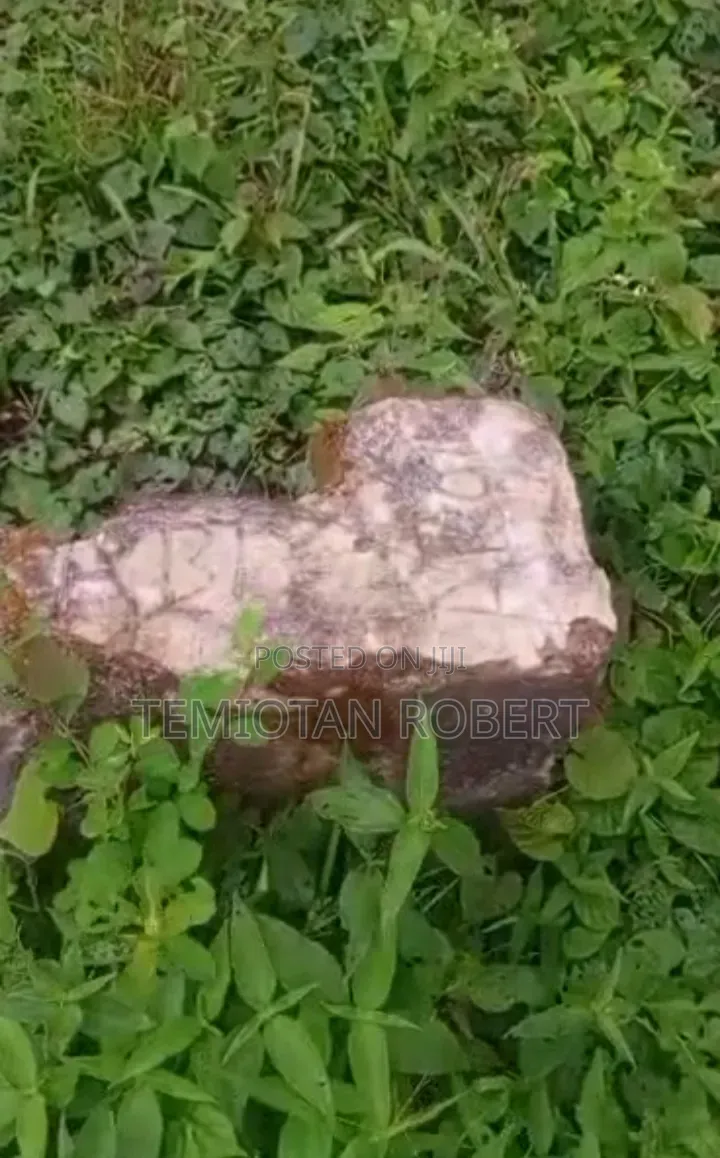Half Plot of Land at Mowe in Iseri