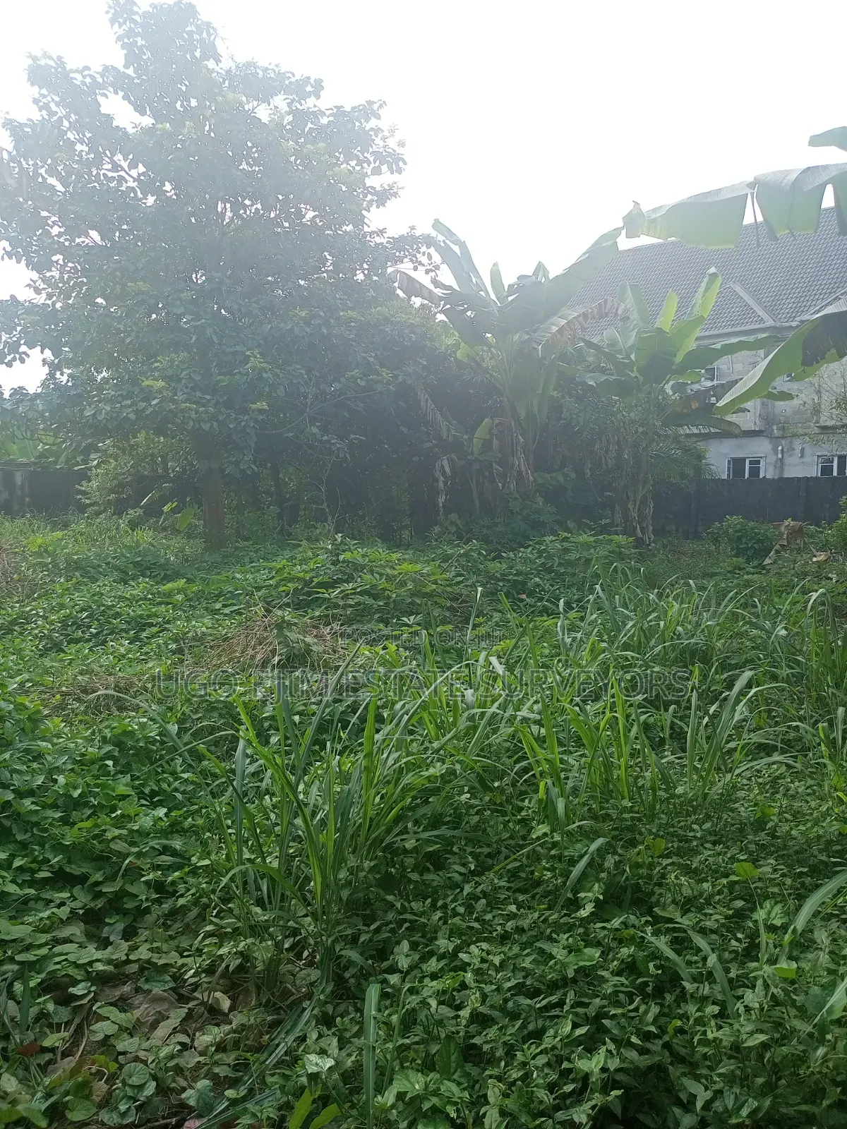 Two Plots of Land in Port-Harcourt