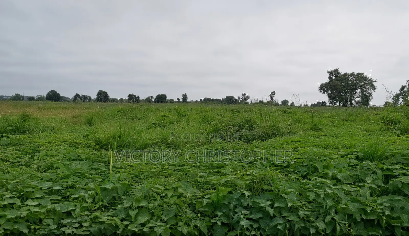 5 Hectares Comprehensive Land in Kuje