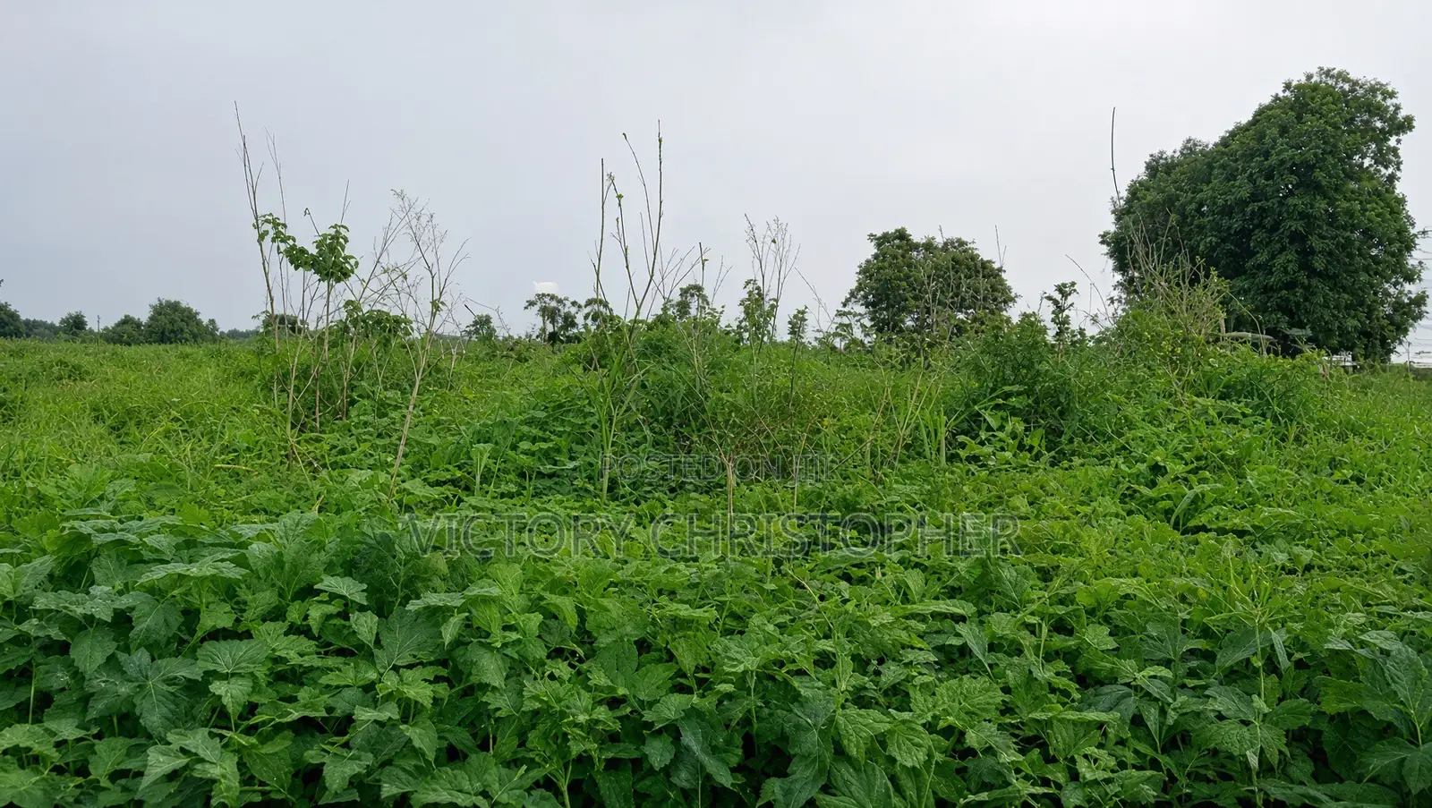 5 Hectares Comprehensive Land in Kuje