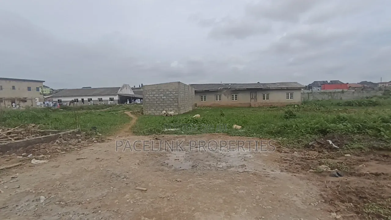Cheap Full Plot of Land for Sale! in Abule Egba