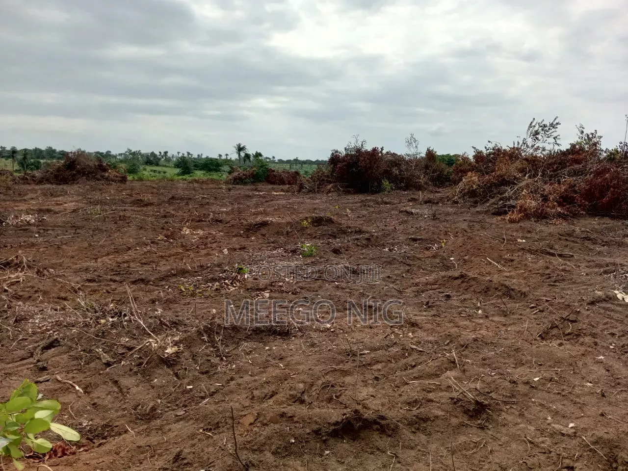 Land for Sale Imaka Tollgate Epe/Ijebu Ode Lagos in Epe