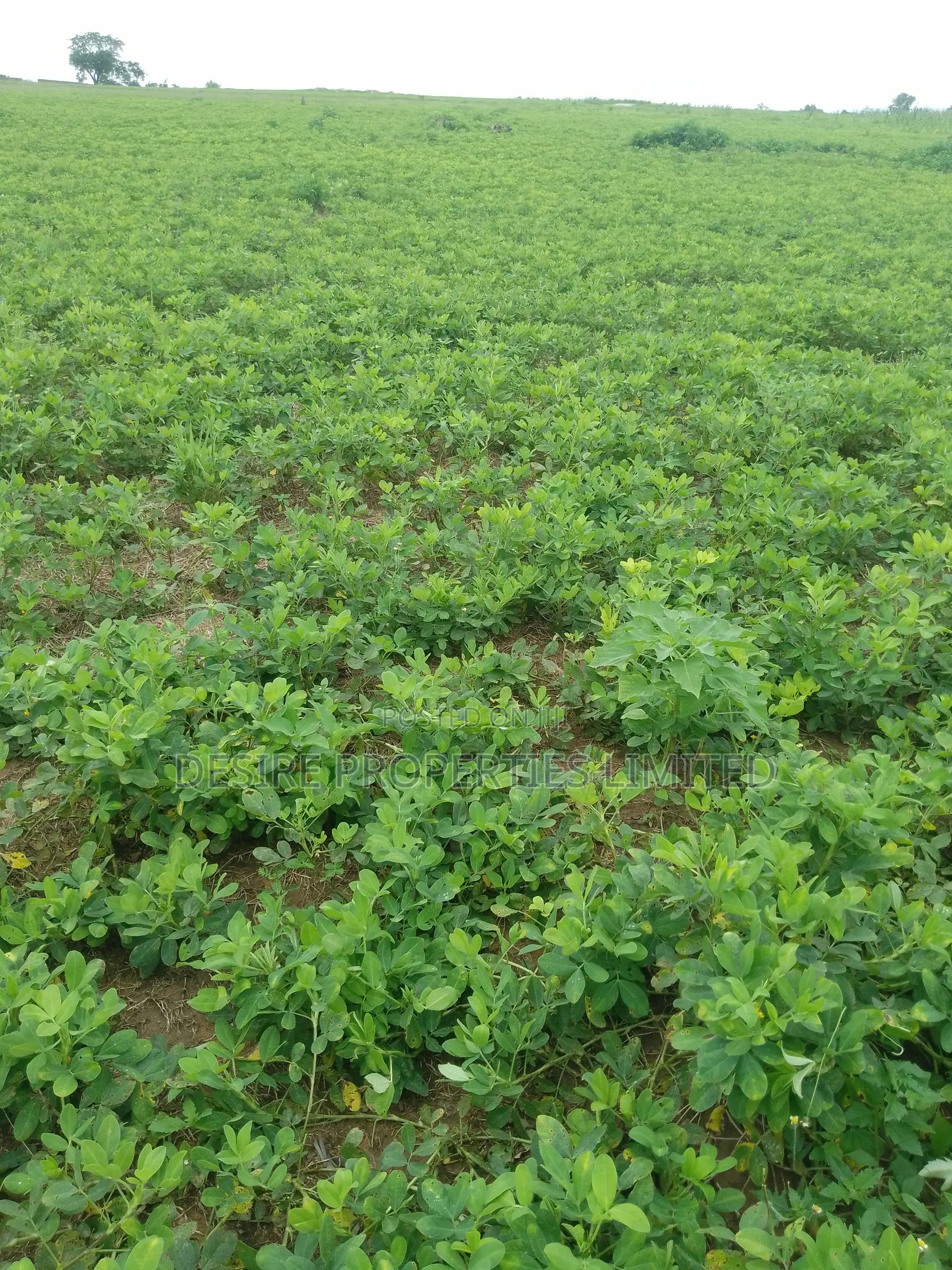 Land for Sale in Kuje Kuchiyako Abuja in Kuje