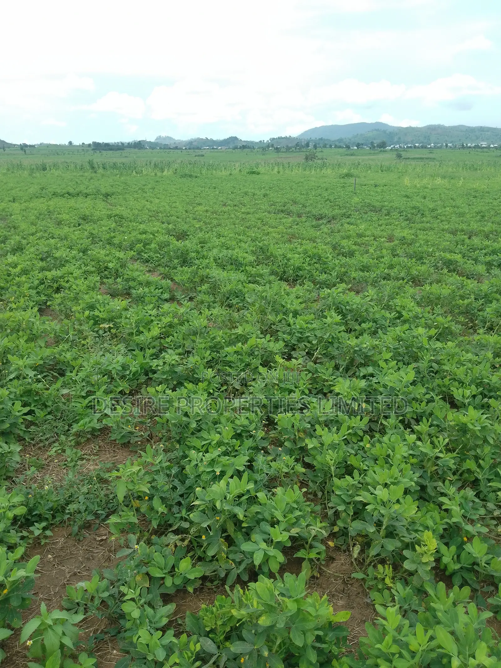 Land for Sale in Kuje Kuchiyako Abuja in Kuje