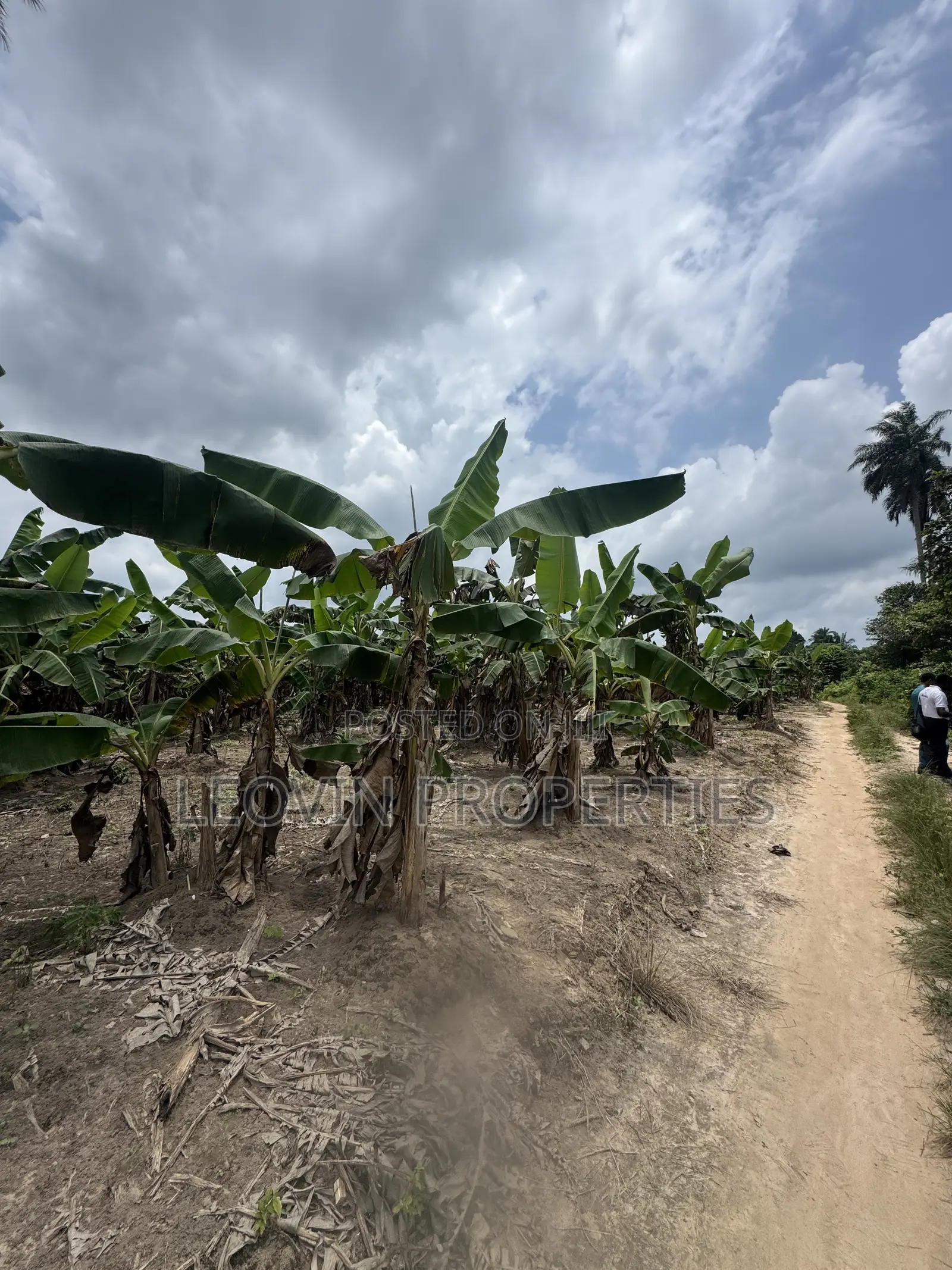 600sqm Farm Land Investment With ₦ Deposit in Ijebu Ode
