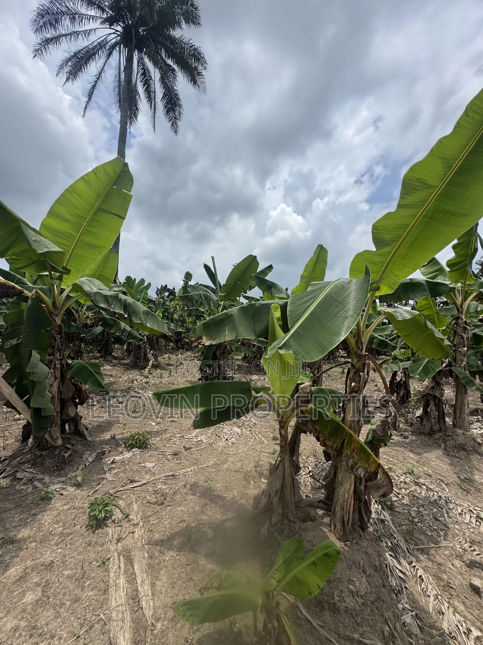 600sqm Farm Land Investment With ₦ Deposit in Ijebu Ode