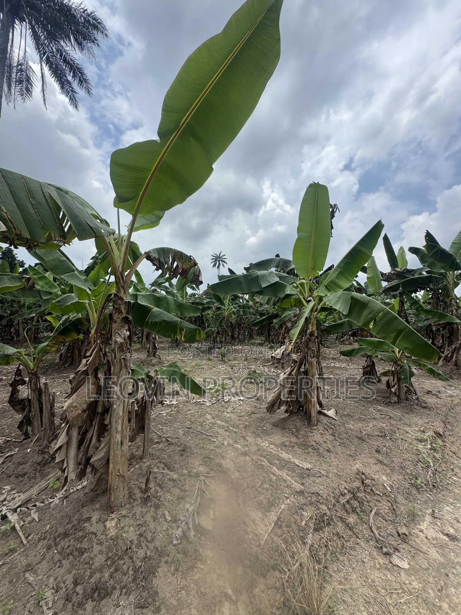 600sqm Farm Land Investment With ₦ Deposit in Ijebu Ode