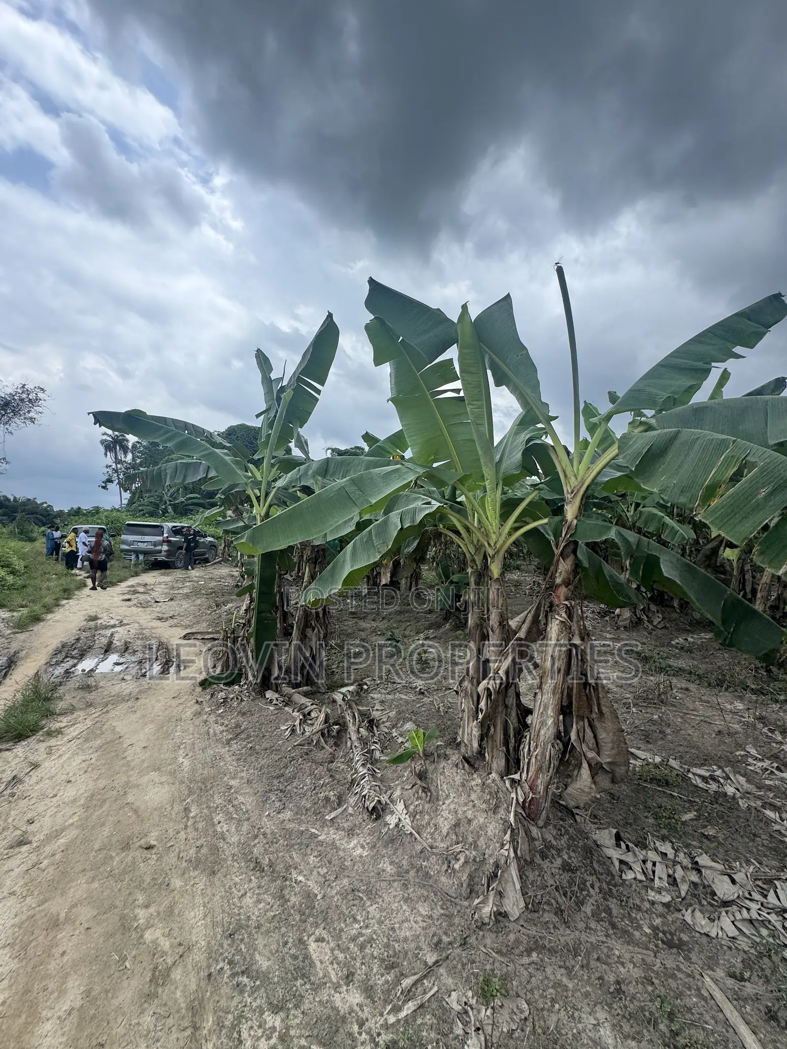 600sqm Farm Land Investment With ₦ Deposit in Ijebu Ode