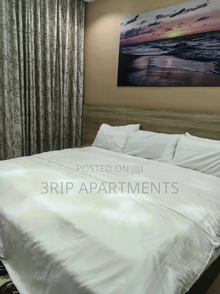 1 Bedroom Apartment Wuse 2 in Wuse 2