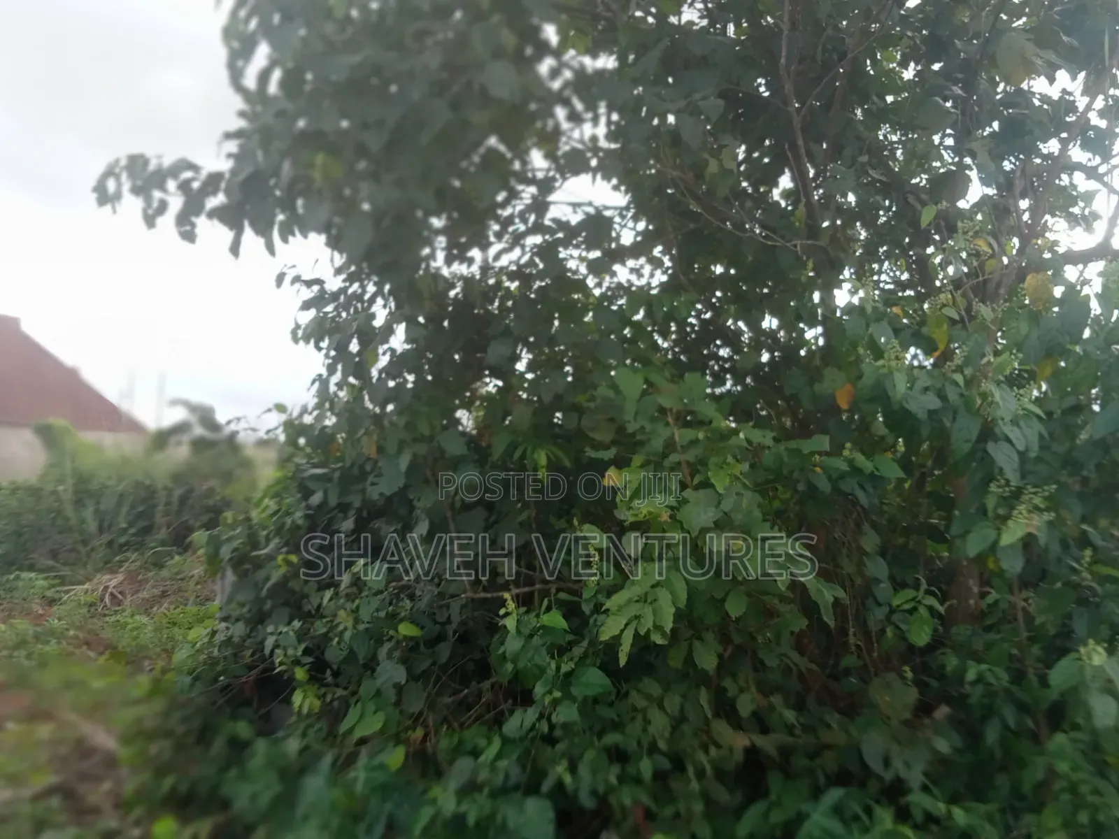 2 Plot of Land for Sale at Omonile Junction Abiola Gasline Arobieye in Ado-Odo/Ota