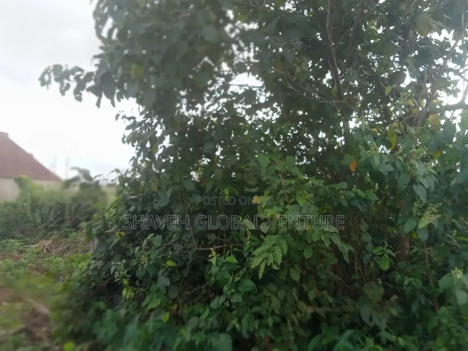 2 Plot of Land for Sale at Omonile Junction Abiola Gasline Arobieye in Ado-Odo/Ota