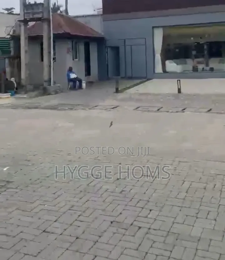 1200sqm Commercial Land in a Strategic Business Locations in Vi in Saka Tinubu
