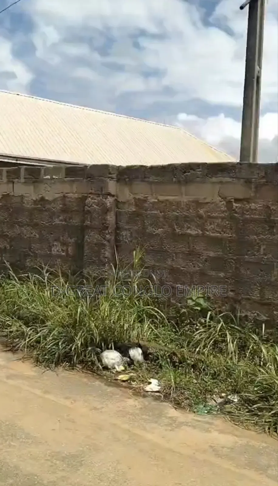 100ftx100ft at Okpanam Rd (Deed) in Oshimili South