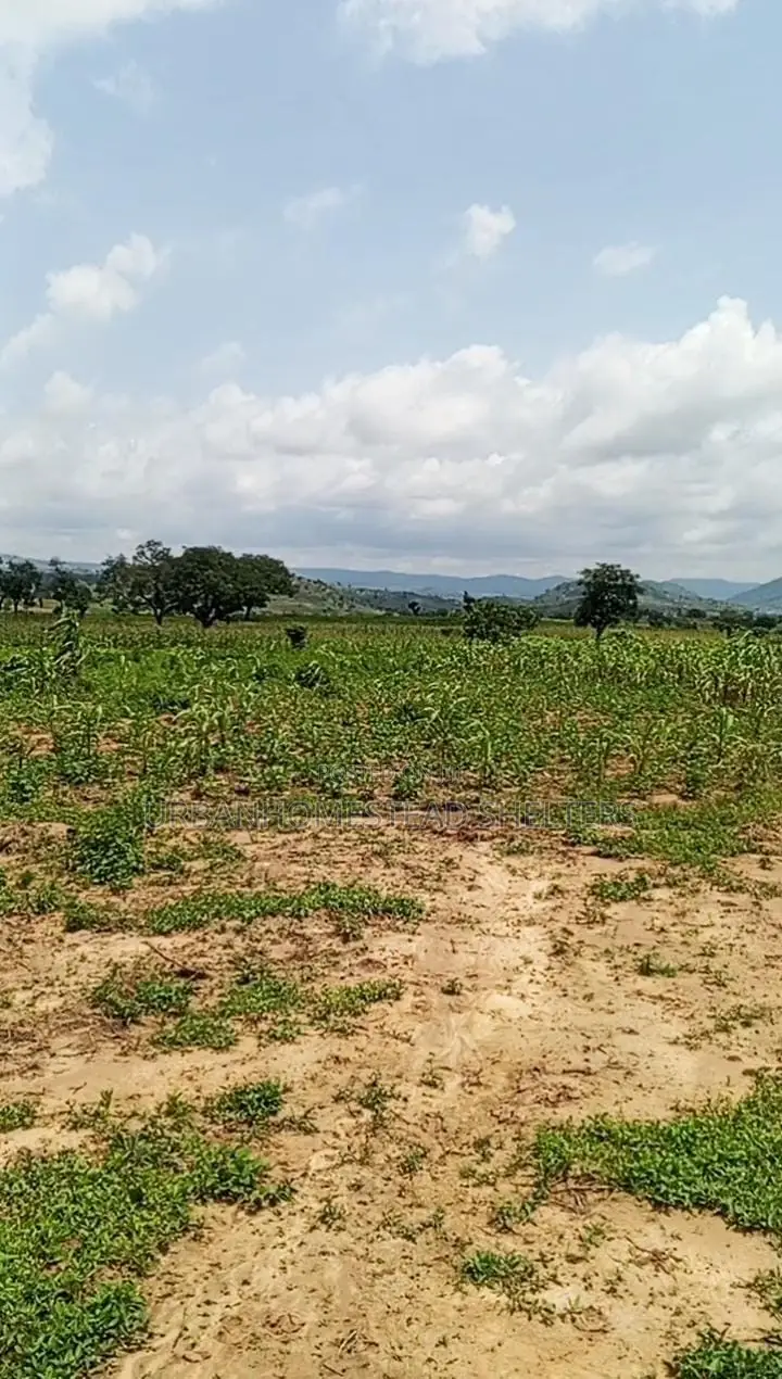 Dominion Villa Estate in Ketti