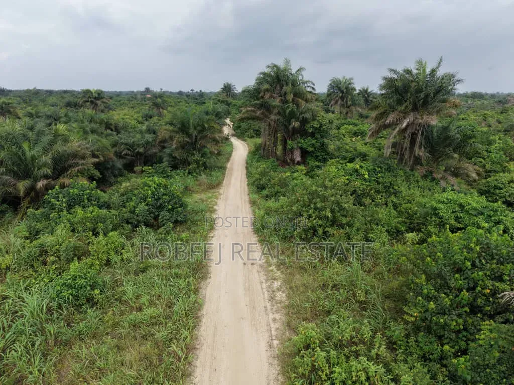  Dongo Village — Invest Ahead of Development!  in Awoyaya
