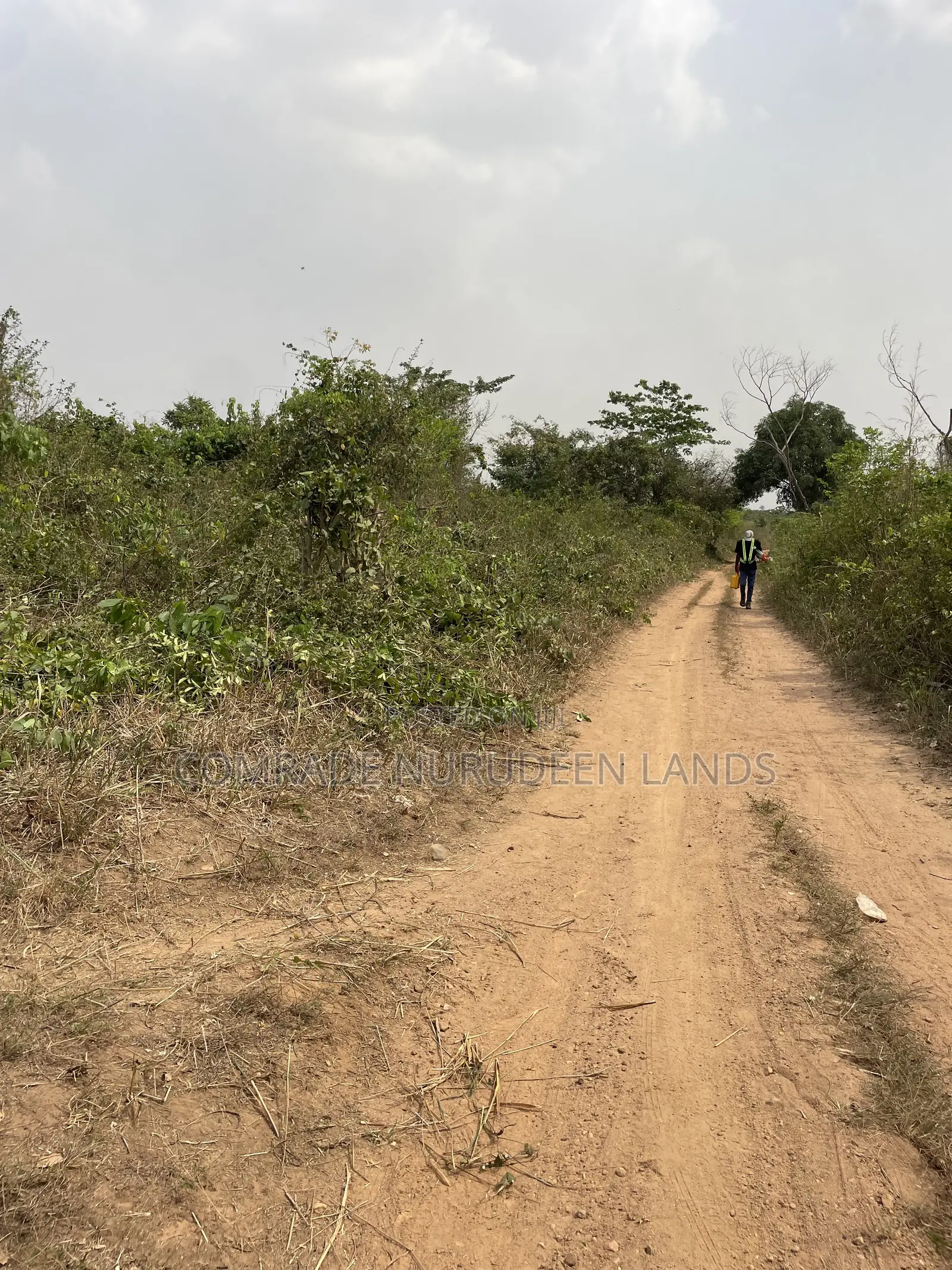 Acres and Hectares of Land in Obafemi-Owode