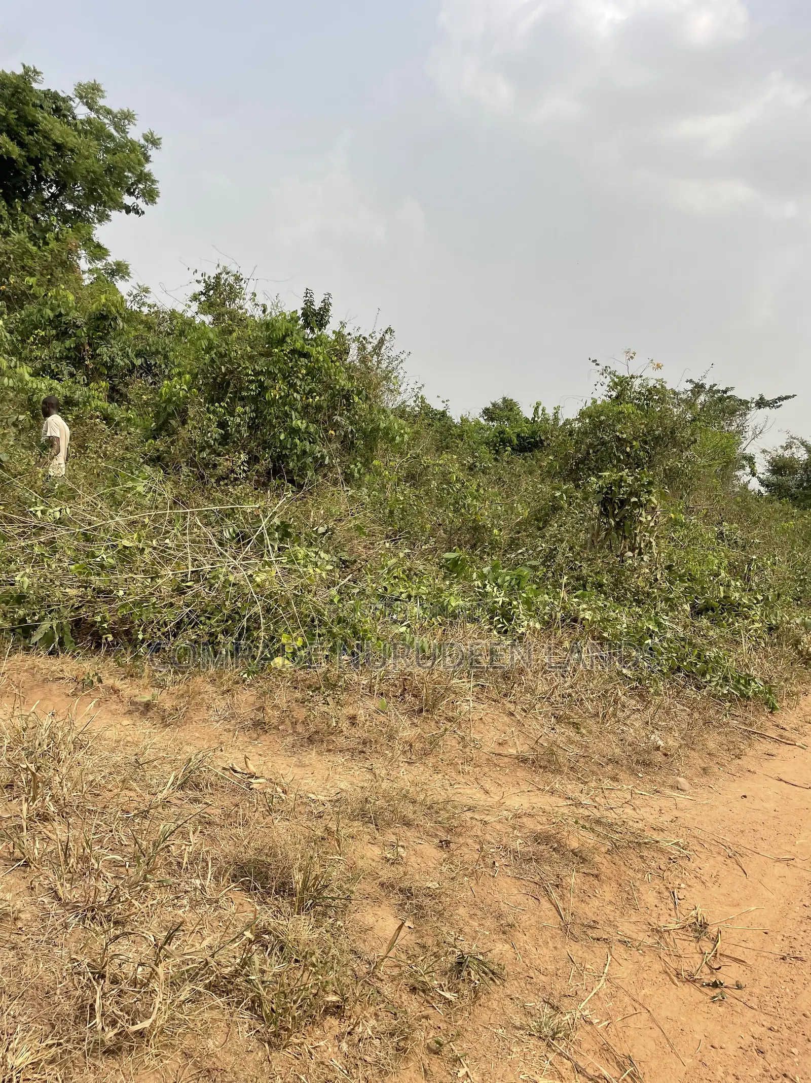Acres and Hectares of Land in Obafemi-Owode