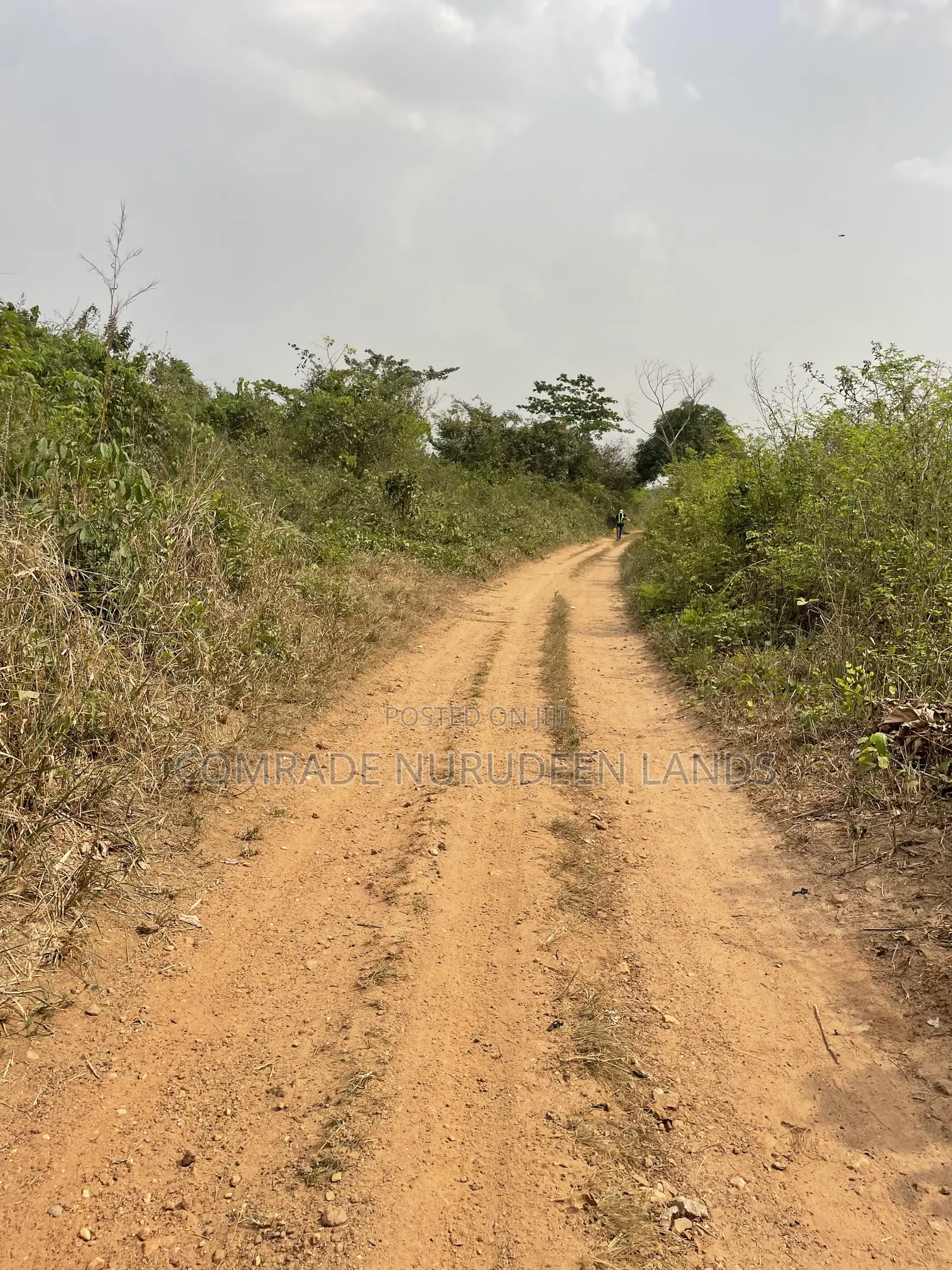 Acres and Hectares of Land in Obafemi-Owode