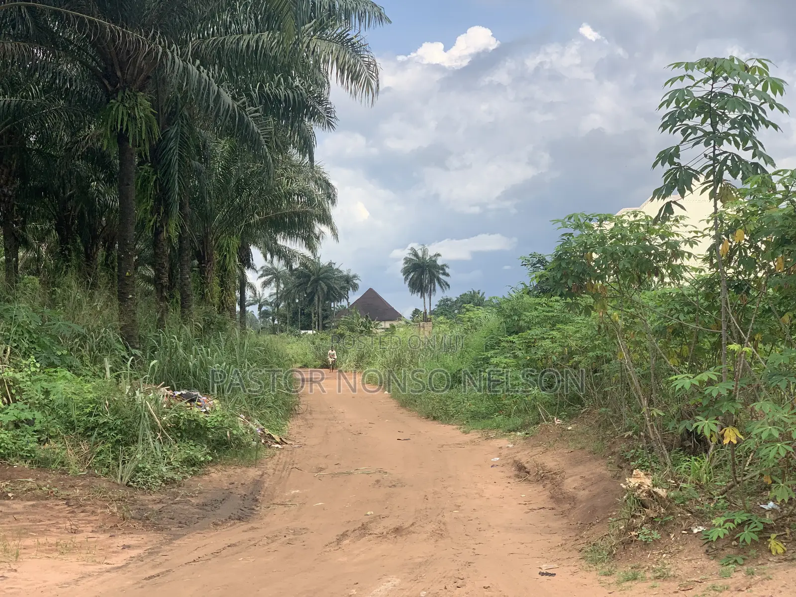 3 Sharable Plots of Land at Ogbaku by Umuekpu in Imo State