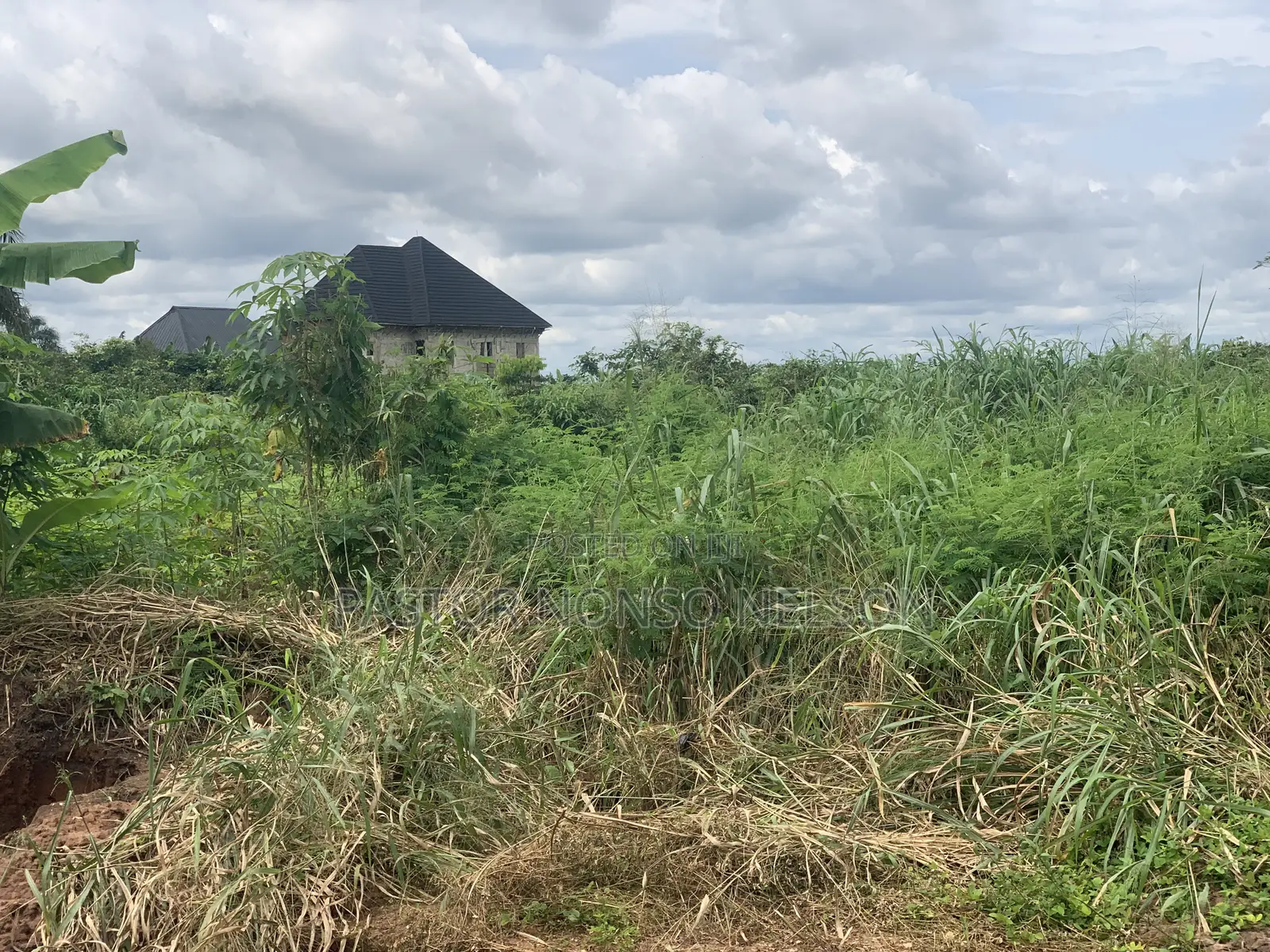 3 Sharable Plots of Land at Ogbaku by Umuekpu in Imo State