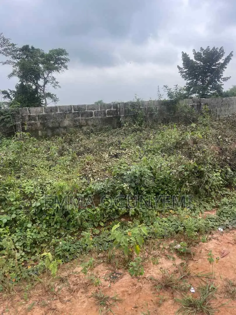 Free Land for Sale in Agbowa