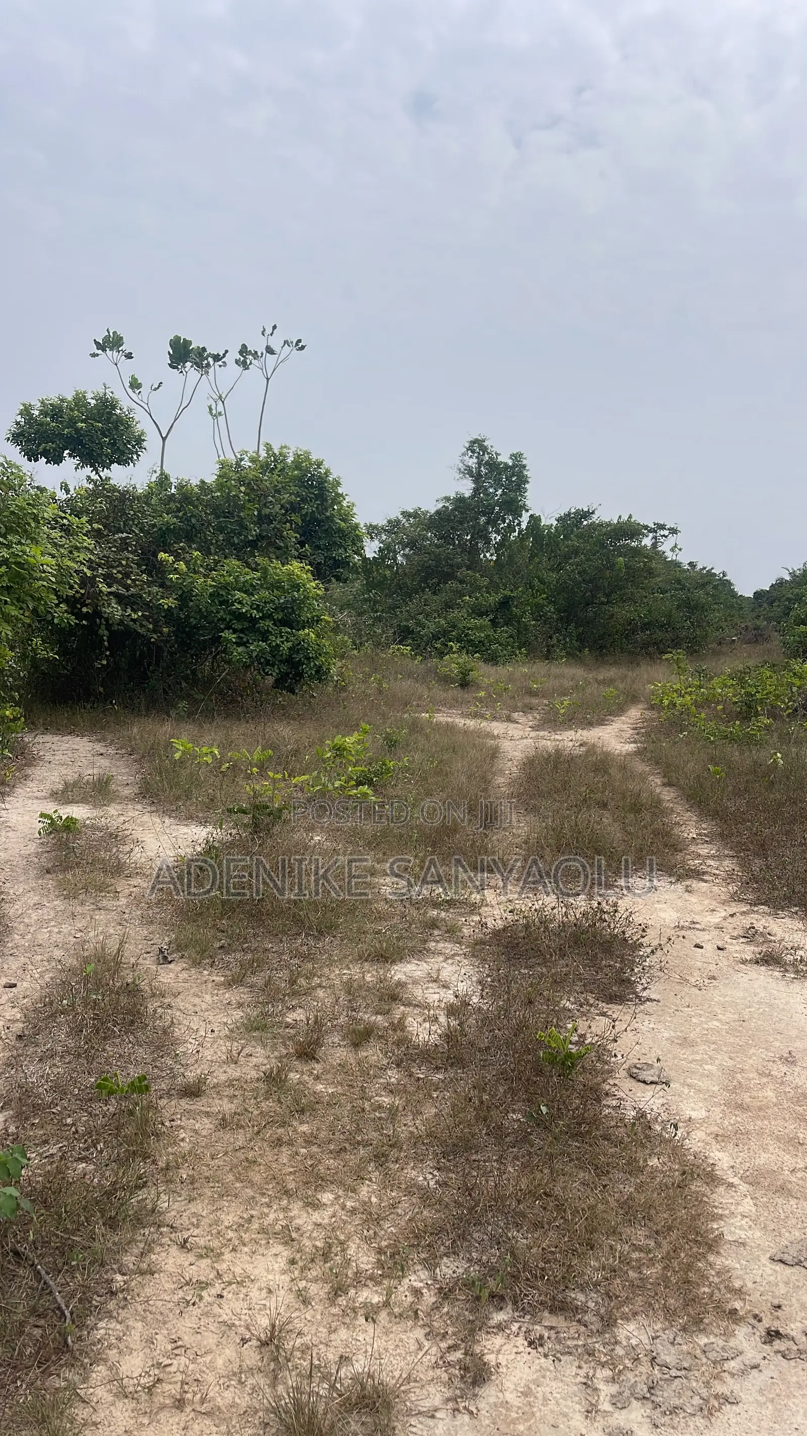 7 Acres of Land for Sale in Ikorodu Imota in Agbowa