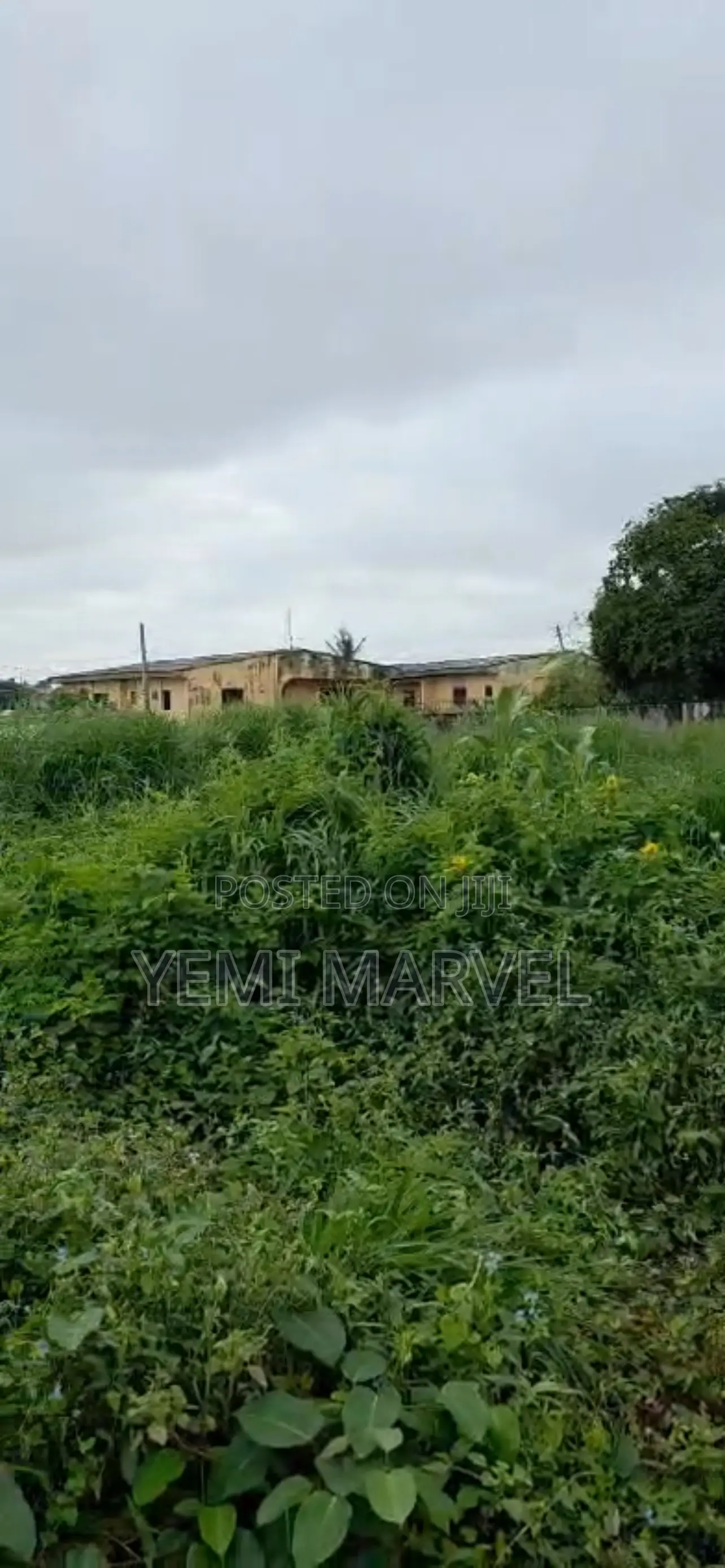 7 Plots of Dry Land at Ikolaba/Bodija, After Chief Kuye House in Bodija