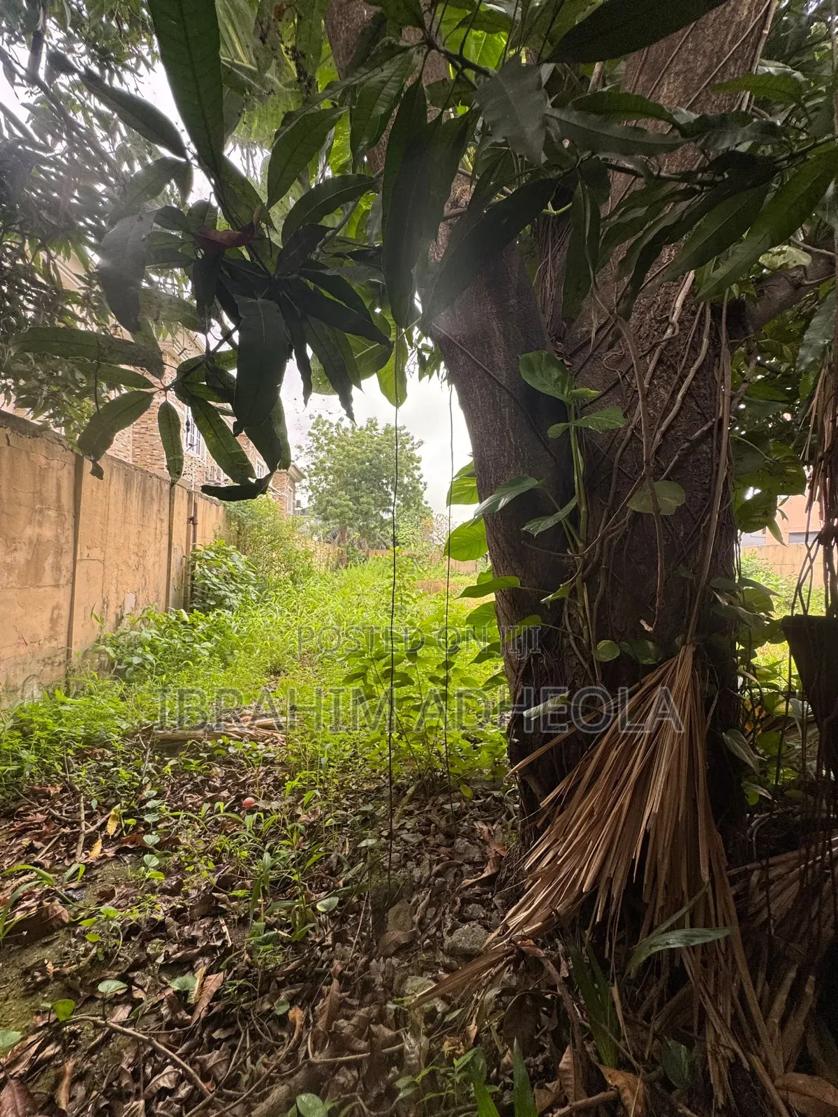 An Empty Land Measuring 777sqm Fenced and Gated, in a Lovely Locatio in Ilupeju Industrial Estate
