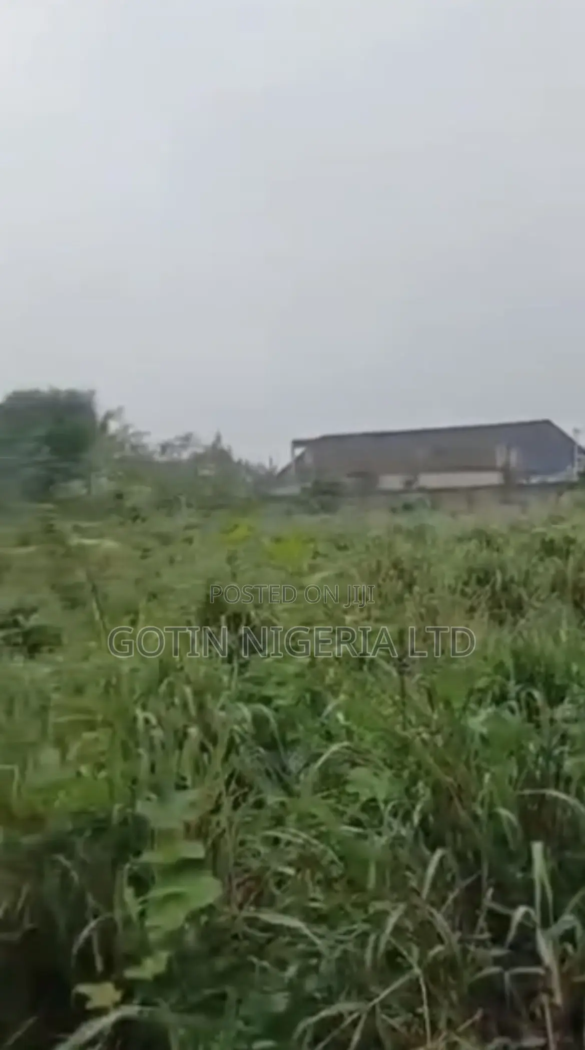 100ft × 200ft Commercial Land for Sale on Ogunmwenyin Tarred Road in Benin City