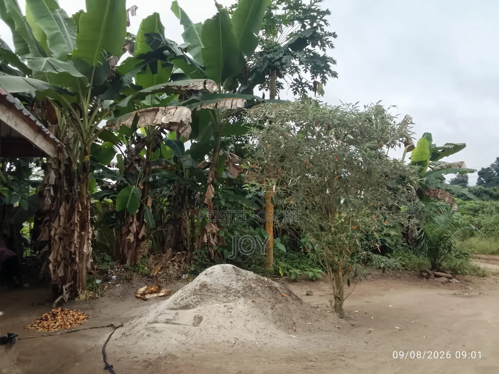 Available Land Please Call for More Information Available in Aba Abia in Aba South