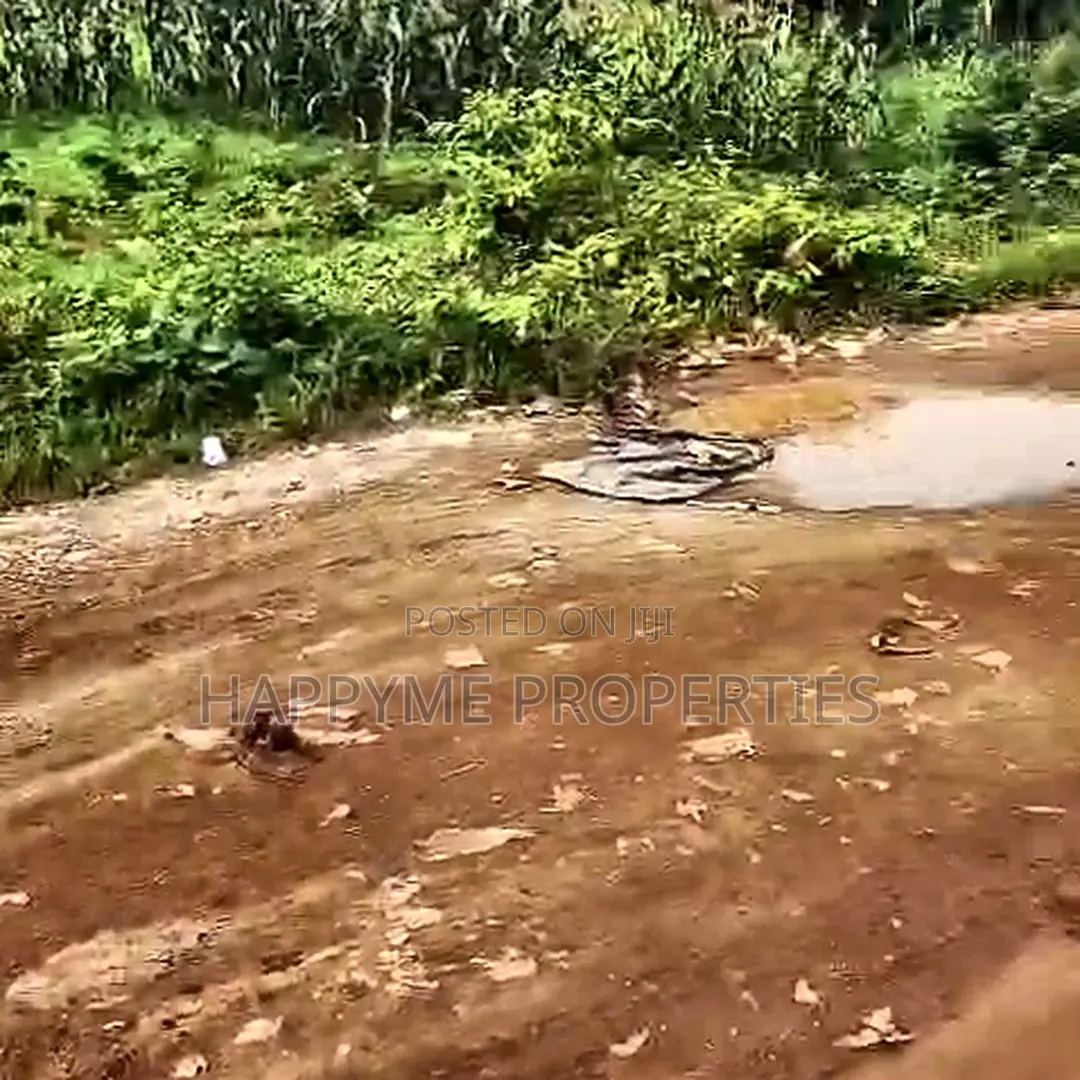 Dakibiyu Low-Density Residential Plot for Sale in Dakibiyu