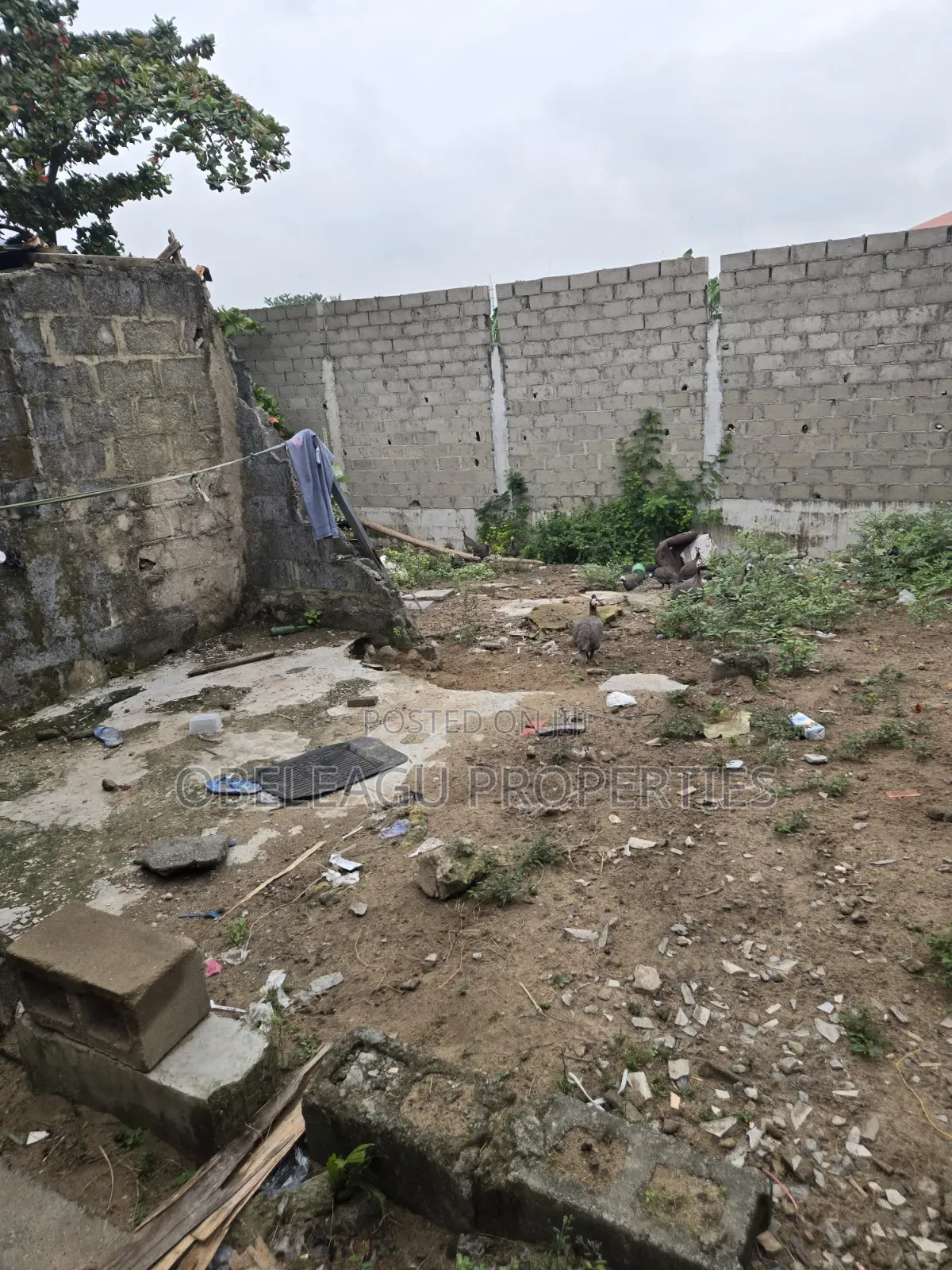 2400 Square Meters Water Front for Lease in Apple Junction