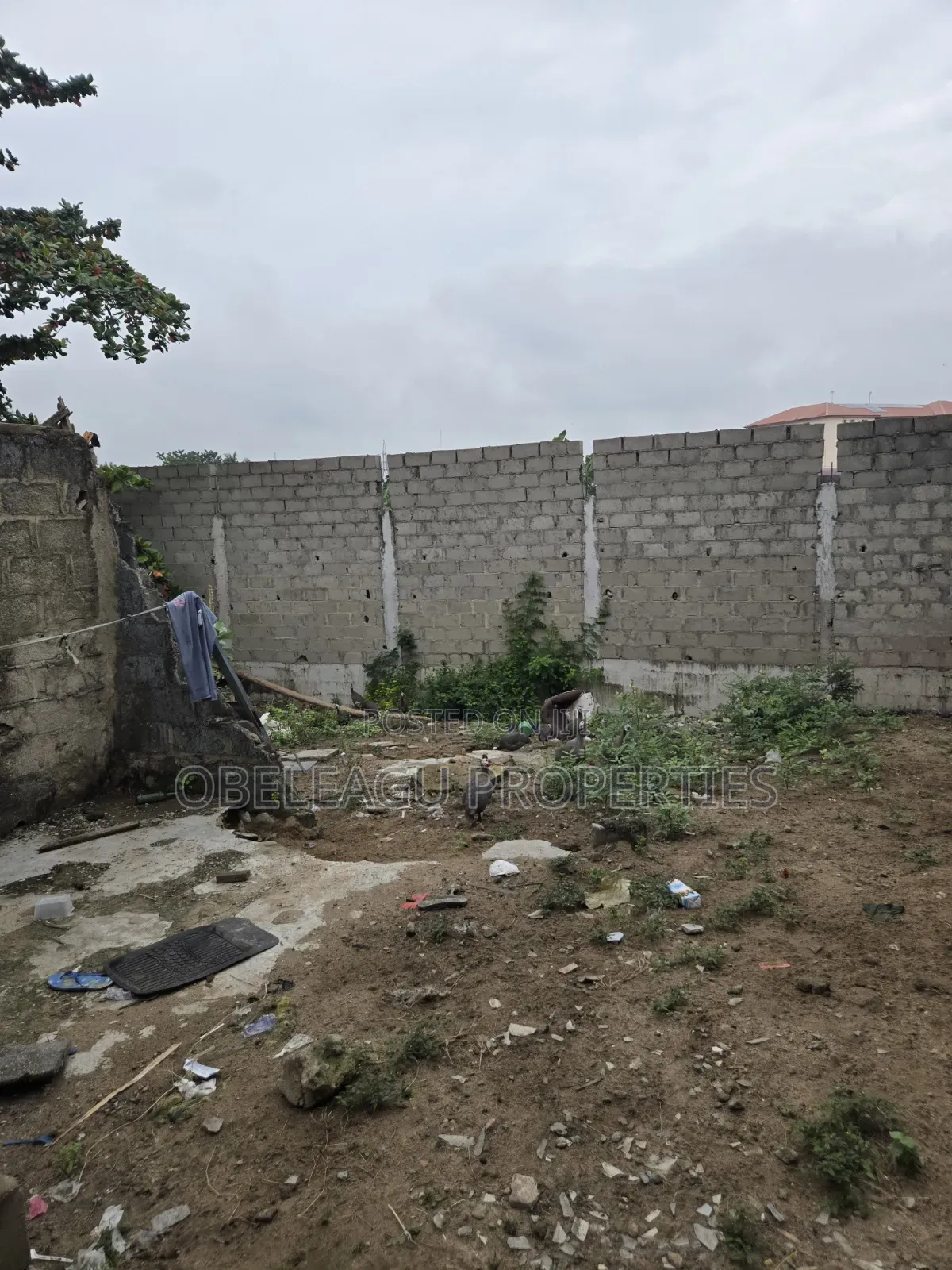 2400 Square Meters Water Front for Lease in Apple Junction