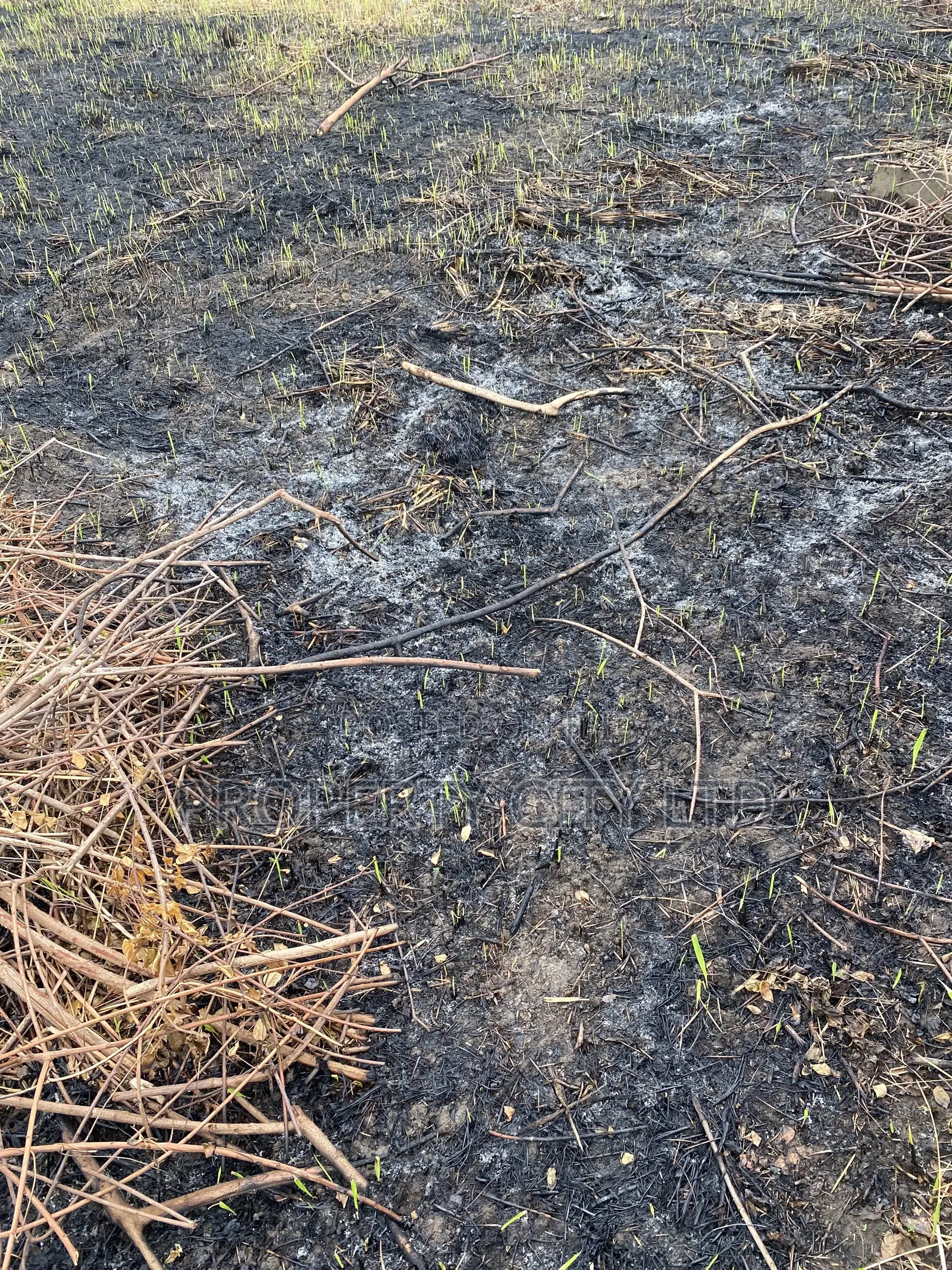A Fenced Full Plot of Land at Ibeshe in Ibeshe / Ikorodu