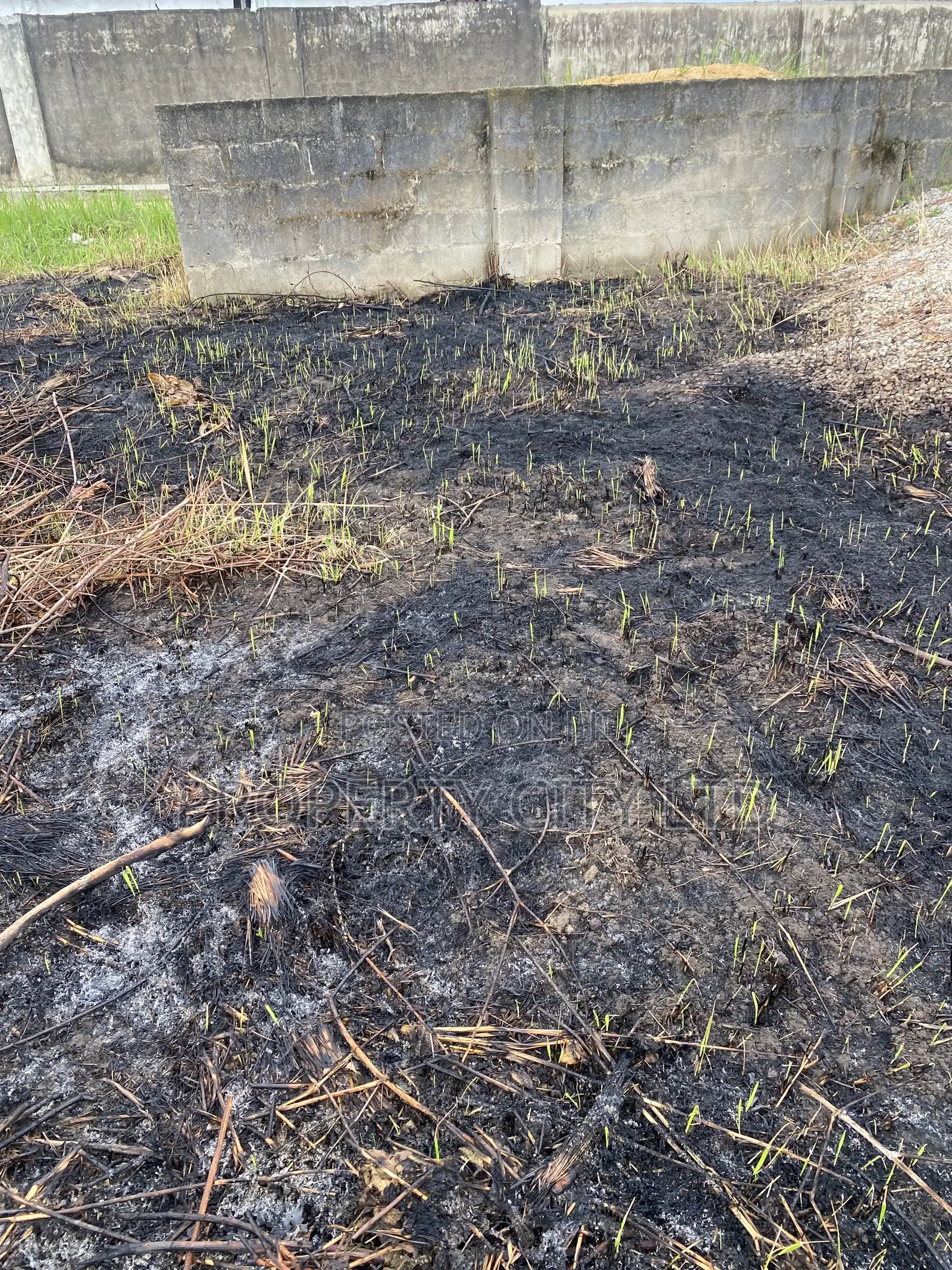A Fenced Full Plot of Land at Ibeshe in Ibeshe / Ikorodu