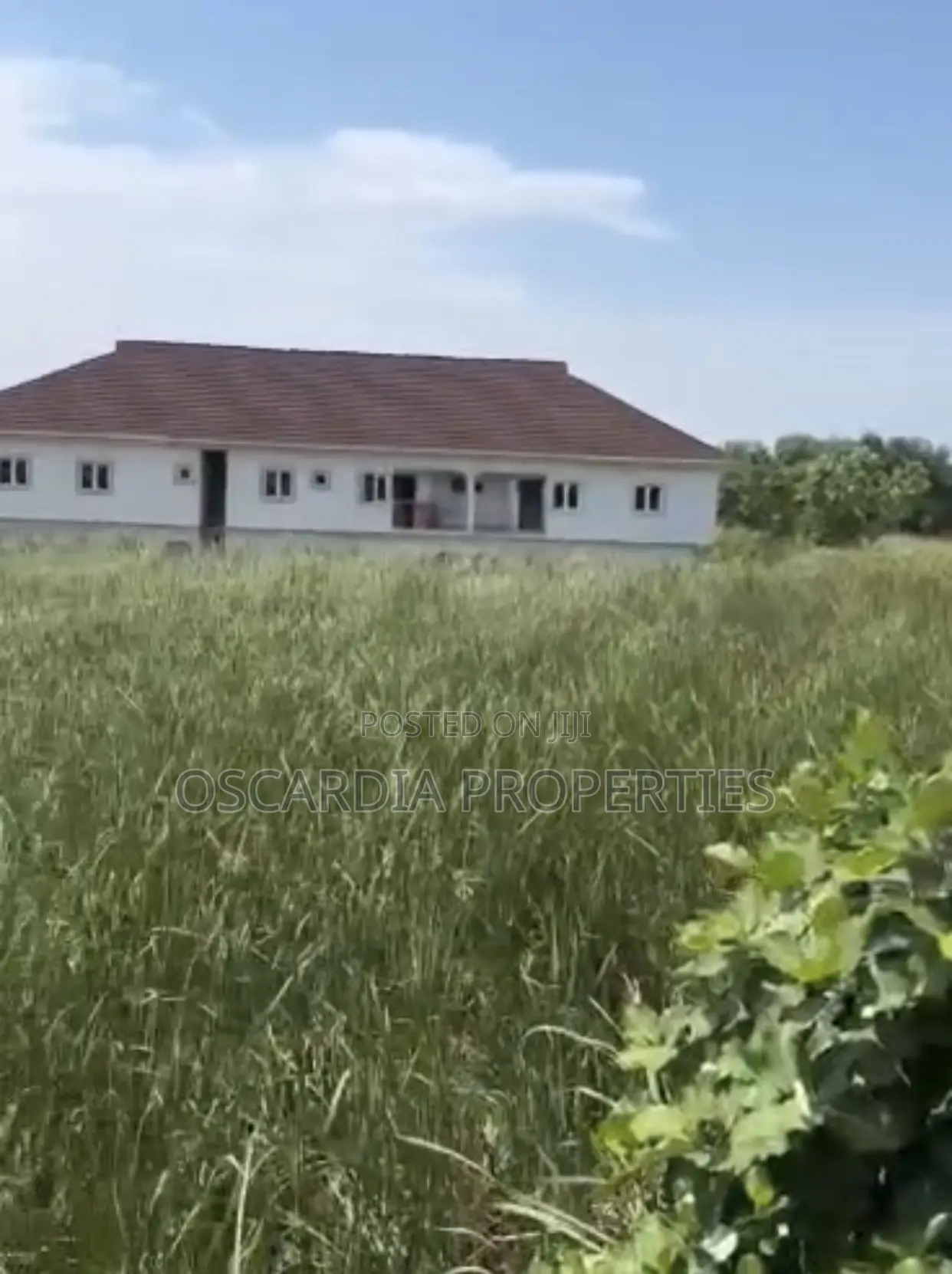 For SALE, 10 PLOTS OF LAND Behind Sky Mall, FarmVille Estate in Sangotedo