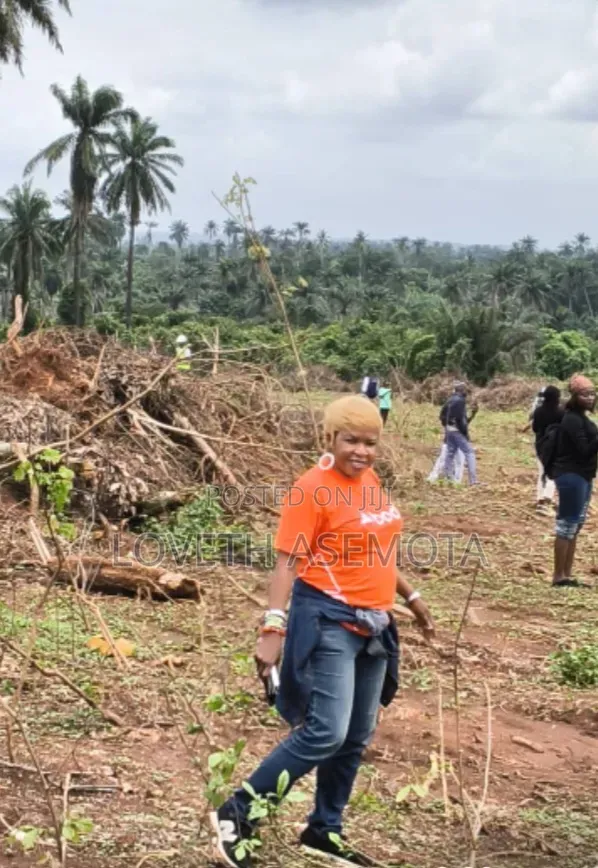 Aviation City-Affordable Lands Investment Opportunity in Ikenne
