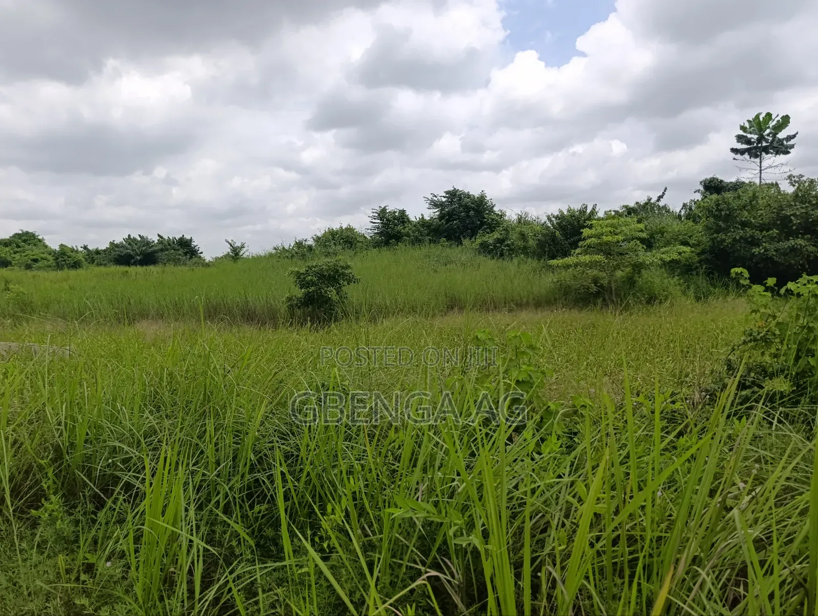 5 Acres of Land for Sale at Ayetoro Off Lagos-Ibadan Expressway in Obafemi-Owode