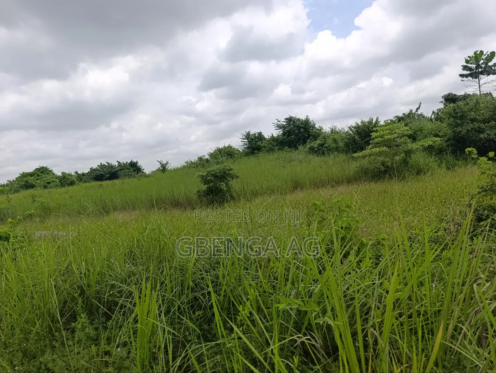 5 Acres of Land for Sale at Ayetoro Off Lagos-Ibadan Expressway in Obafemi-Owode