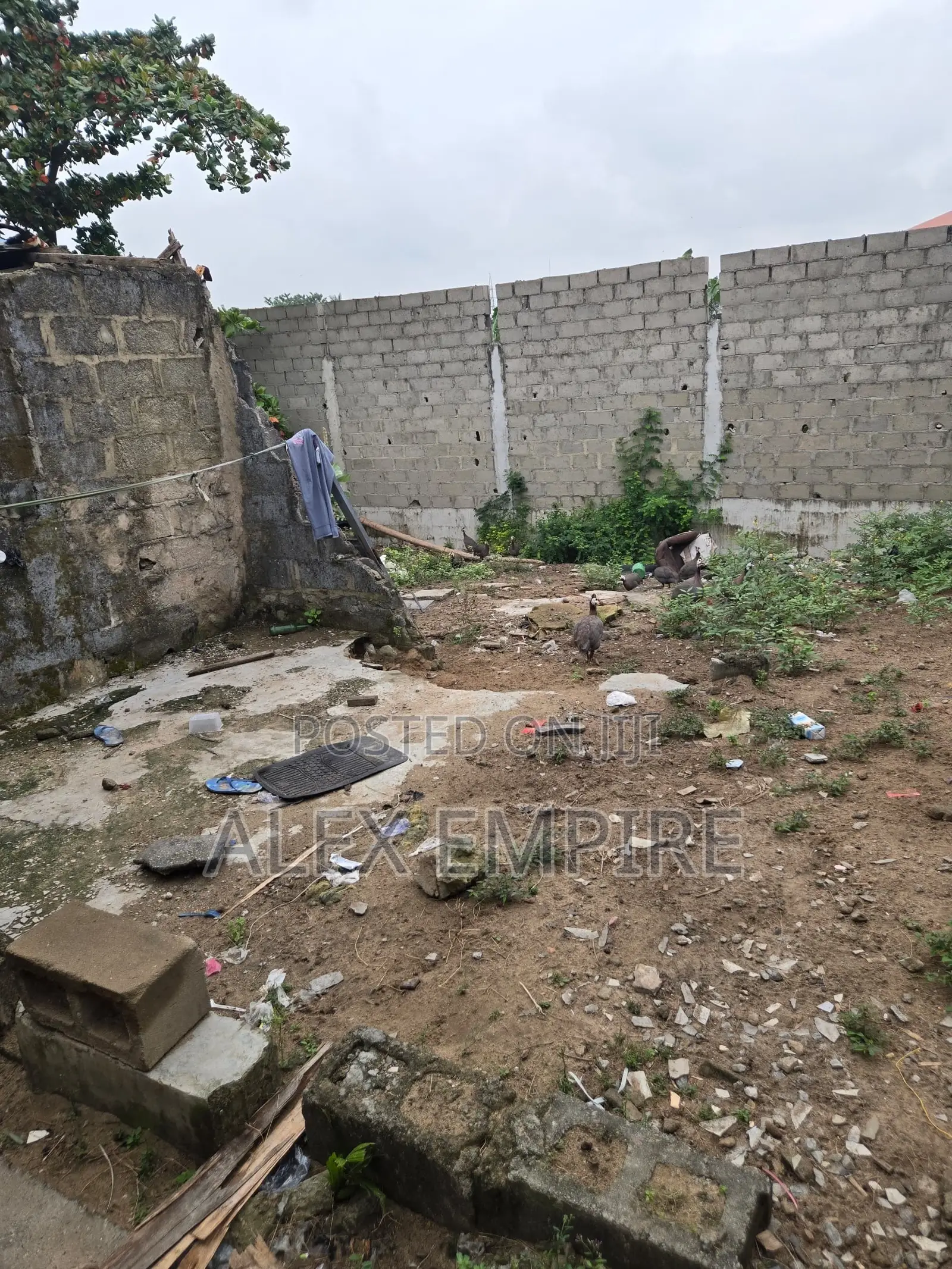 2000sqm Waterfront Dry Land for Lease in Amuwo in Apple Junction