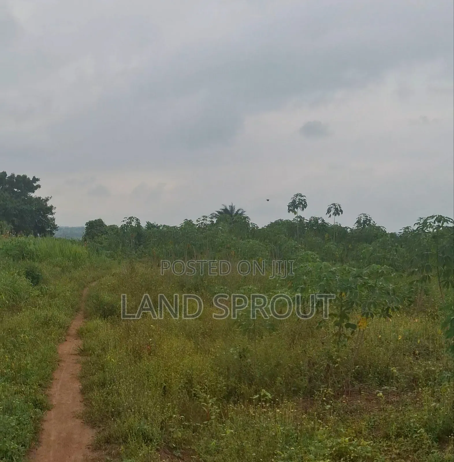 Per Acre Farmland for Sale at Aba-Imo, Ido, Ibadan in Ido