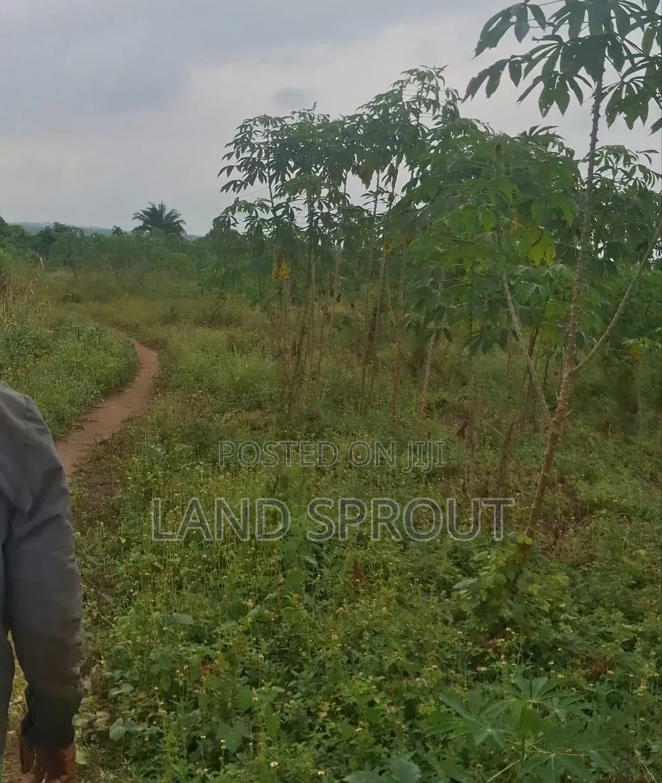 Per Acre Farmland for Sale at Aba-Imo, Ido, Ibadan in Ido