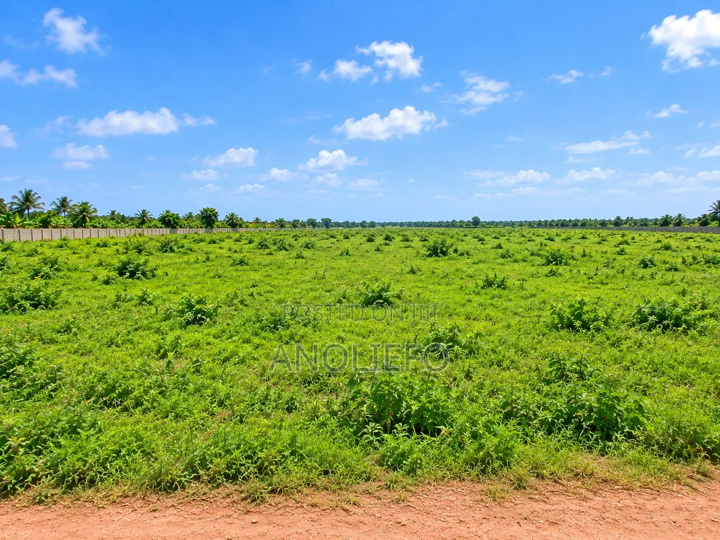 Acres of Land for You in Ngor-Okpala
