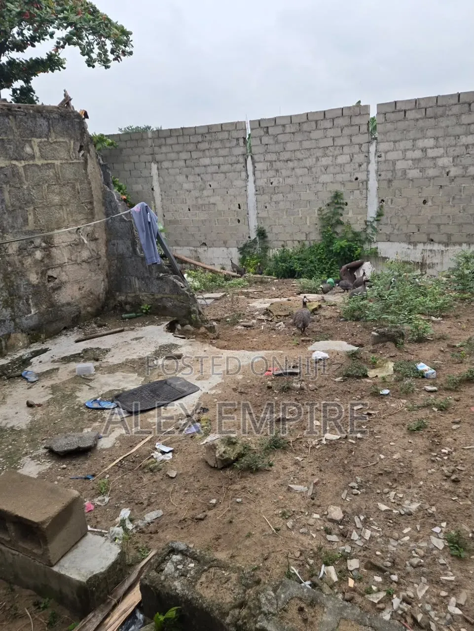 Land for Lease in Amuwo Odofin in Ibeshe / Amuwo-Odofin