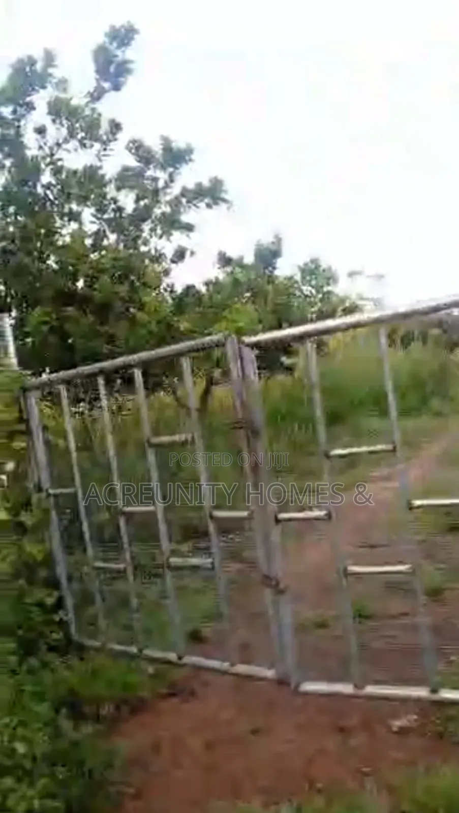 10 Acres of Fertile Farmland for Sale at Soku Fashola Area, Iseyin in Iseyin