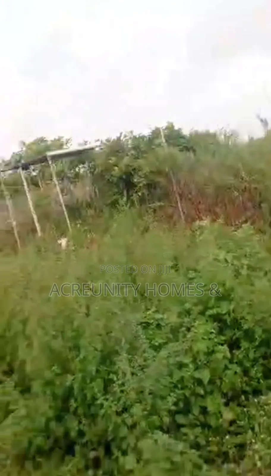 10 Acres of Fertile Farmland for Sale at Soku Fashola Area, Iseyin in Iseyin