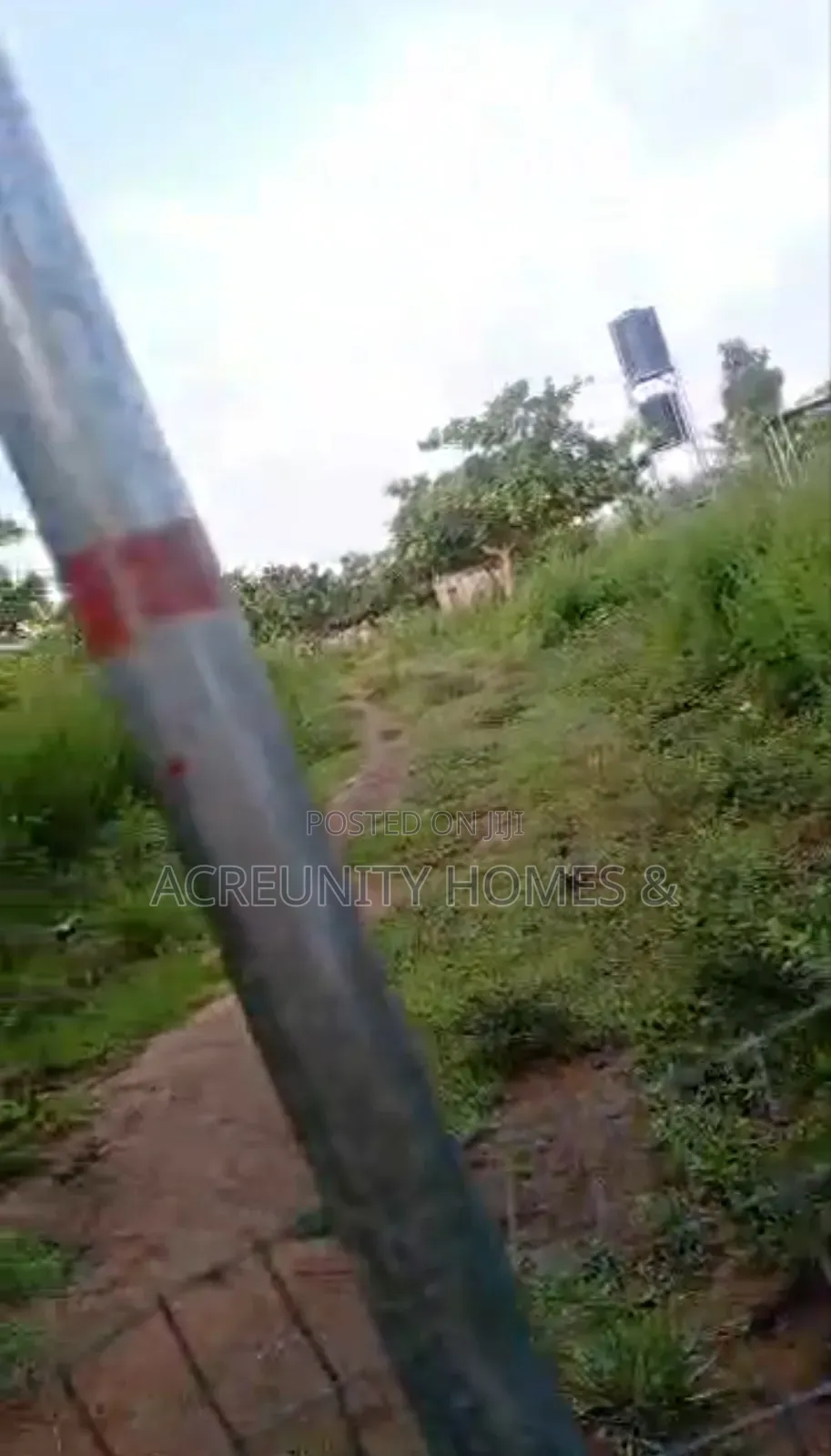10 Acres of Fertile Farmland for Sale at Soku Fashola Area, Iseyin in Iseyin