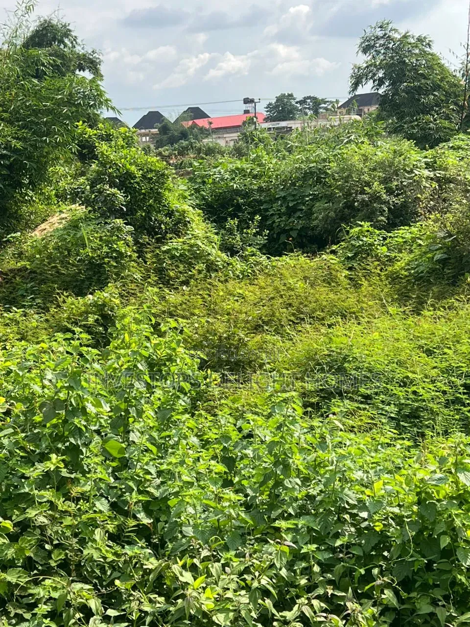 Commercial Land for Sale in Oshimili North