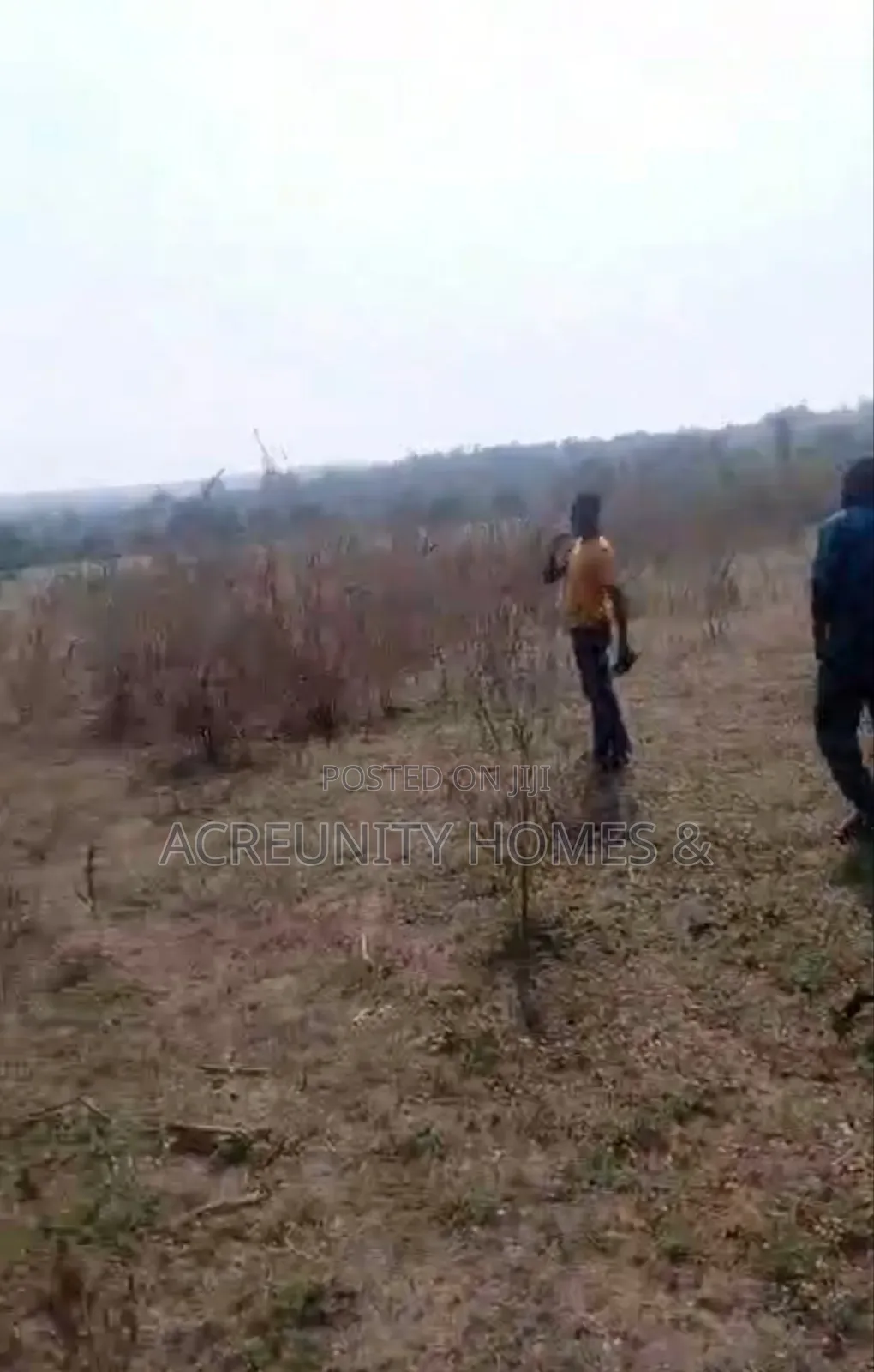 10 Acres of Farmland for Sale Behind Ibrahim Chatta Film Village in Oyo / Oyo
